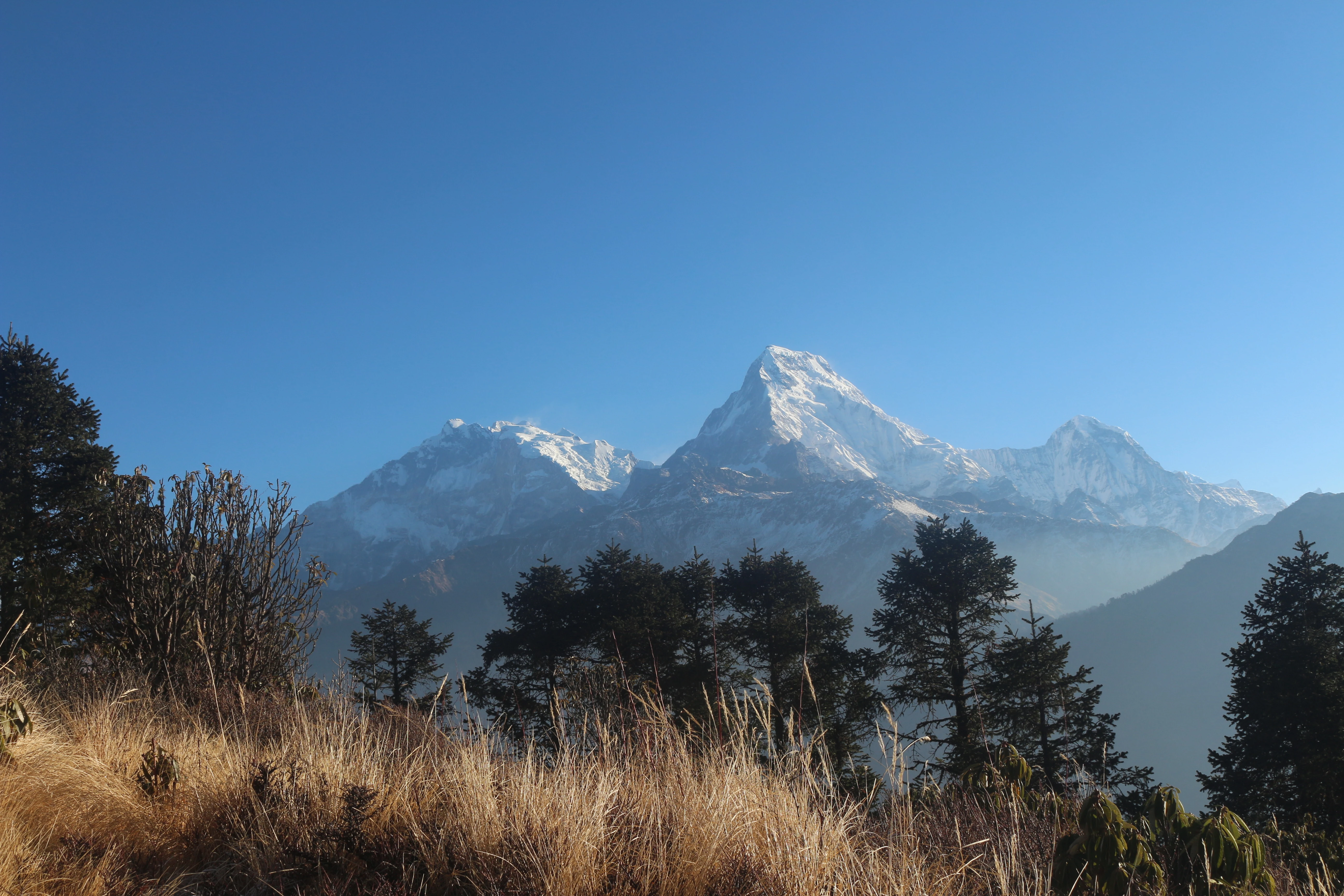 Ghorepani Poon Hill Trek- 9 Days